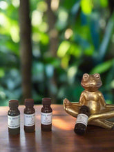 Load image into Gallery viewer, Alex fragrance oils 1/2 oz. (M to Z)