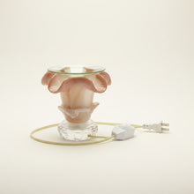 Load image into Gallery viewer, Champagne tulip fragrance oil &amp; wax melt