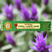 Load image into Gallery viewer, Hari Darscham imported incense sticks