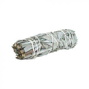 California White Sage Smudge Incense  4''