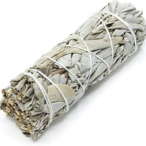 California White Sage Smudge Incense  4''