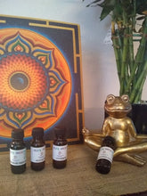 Load image into Gallery viewer, Alex fragrance oils 1/2 oz (-A to L )