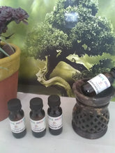 Load image into Gallery viewer, Alex fragrance oils 1/2 oz (-A to L )