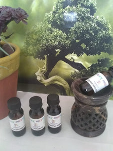 Alex fragrance oils 1/2 oz (-A to L )