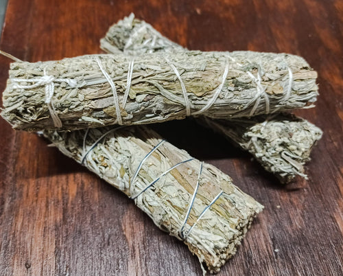Black sage Mudwort Smudge 4