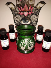 Load image into Gallery viewer, Alex fragrance oils 1/2 oz (-A to L )