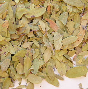 Herbs & roots