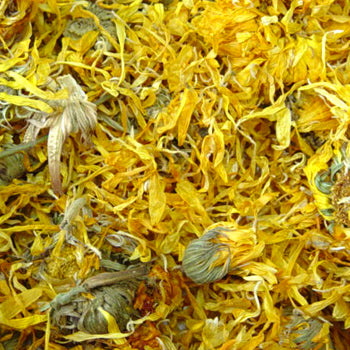 Herbs & roots