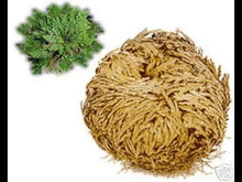 Load image into Gallery viewer, Rose of Jericho flower