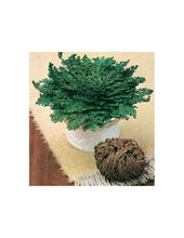 Load image into Gallery viewer, Rose of Jericho flower